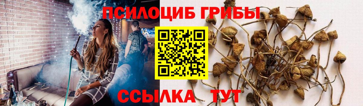 Славянск-на-Кубани  Галлюциногенные грибы ЛСД  Вход с VPN 